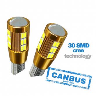 Ψείρες CANBUS Αυτοκινήτου Χρυσές 30smd LED 12v-σετ 2τμχ